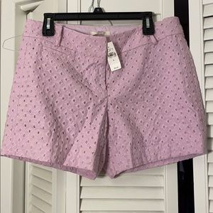 Loft purple eyelet lace shorts